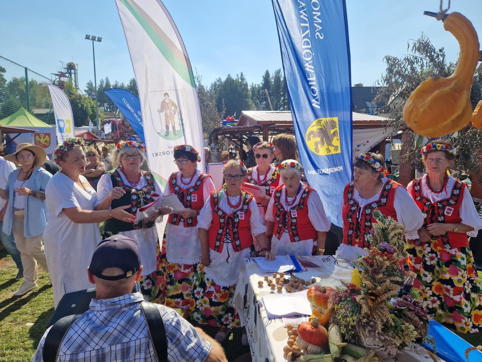 Powiat Sztumski na Pomorskim Święcie Plonów w Szemudzie. Zdjęcia
