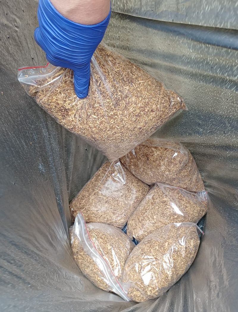 Malbork. Brawurowa akcja kryminalnych – zatrzymali parę przewożącą samochodem 2 kg narkotyków.
