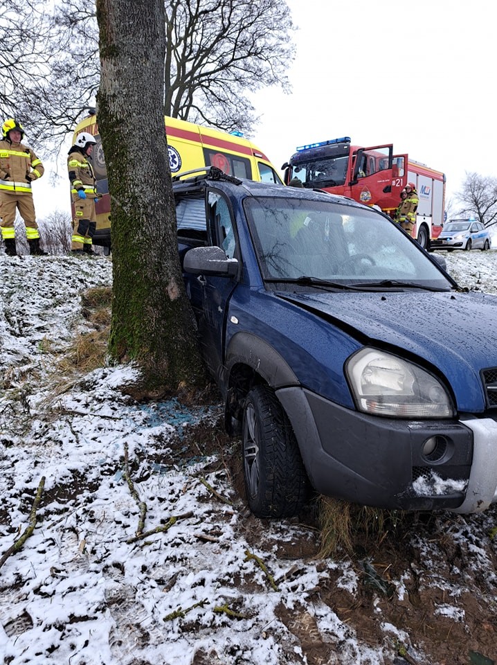 Gmina Nowy Staw. Auto wpadło w poślizg i uderzyło w drzewo - kobieta trafiła do szpitala.