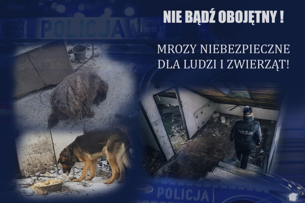 Nowy Dwór Gdański. Policjanci apelują – silne mrozy są niebezpieczne dla ludzi i zwierząt!