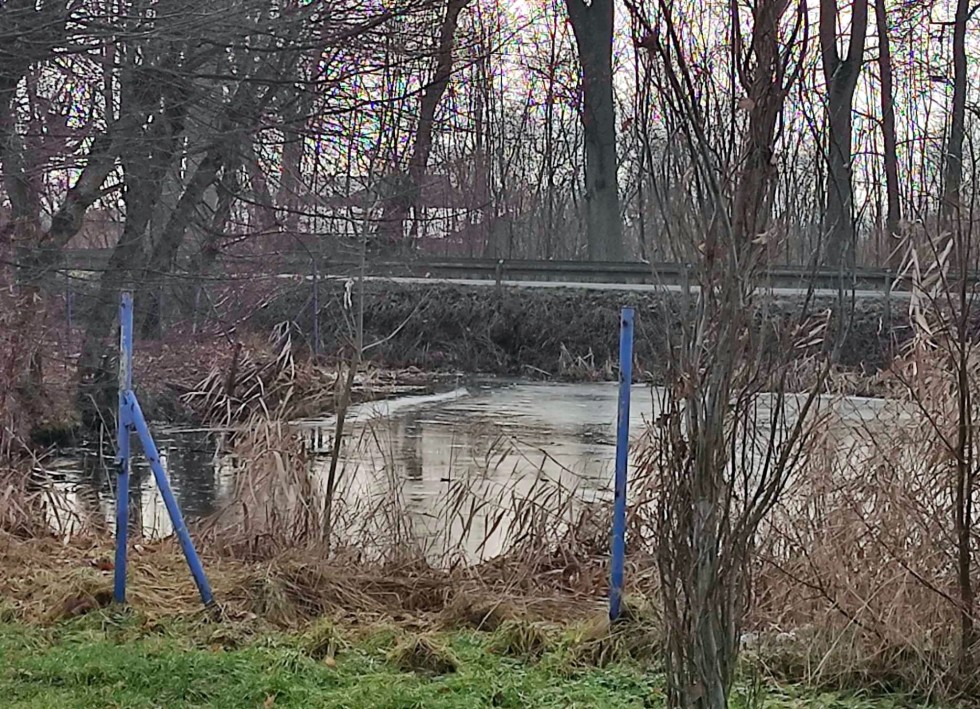 Gmina Stare Pole. Wkrótce park w Krzyżanowie zmieni swoje oblicze.