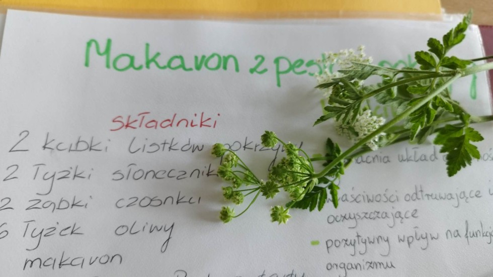 Malbork. Ekologiczne działania uczniów Technikum nr 3.