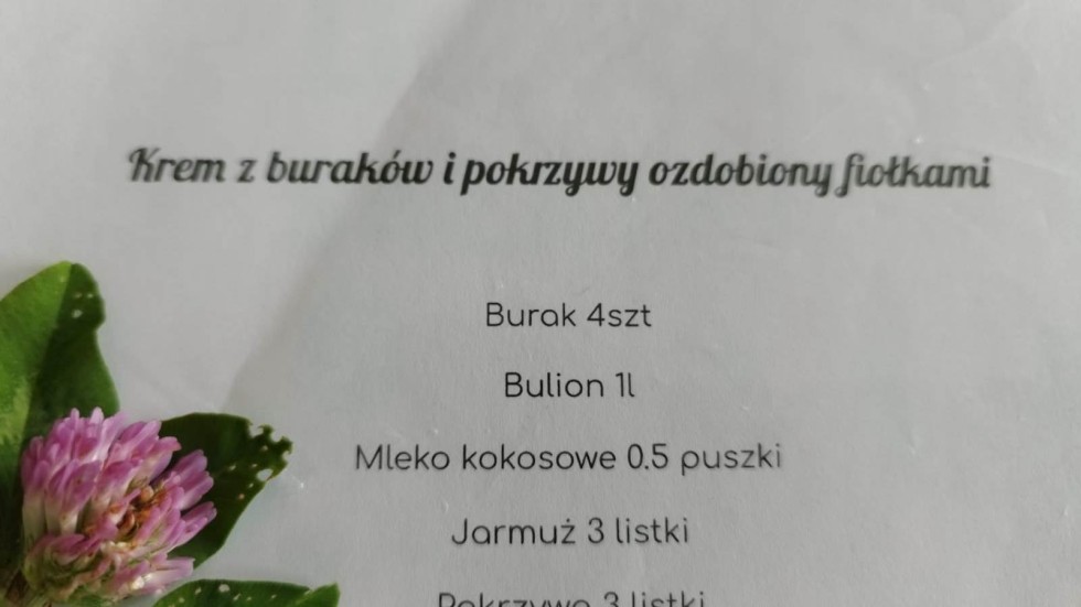 Malbork. Ekologiczne działania uczniów Technikum nr 3.