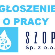 “SZOP” Spółka z o.o. w Nowym Dworze Gdańskim ogłasza nabór na stanowisko: GŁÓWNY KSIĘGOWY