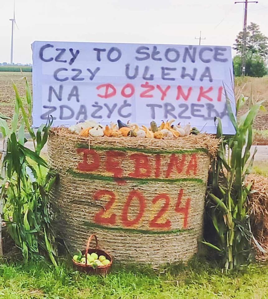 Gmina Nowy Staw. Kto wygra w konkursie na najładniejszą Dożynkową Zagrodę?