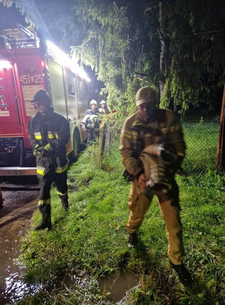Powiat sztumski w stanie podwyższonej gotowości – ponad 100 interwencji strażaków, zagrożenie na rzece Dzierzgoń.