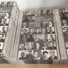 „Młody Las” – historia, która wciąż szumi w pamięci Malborka.…