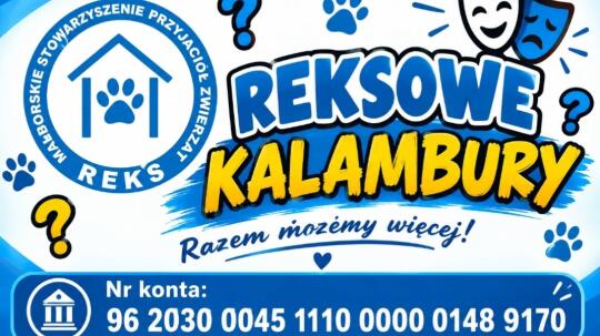 Reksowe Kalambury w Malborku. Zabawa, rywalizacja i pomoc dla zwierząt